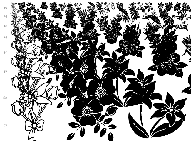 DT Flowers font waterfall